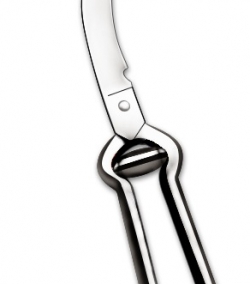 Photoshop Doctor Knife Website Graphics