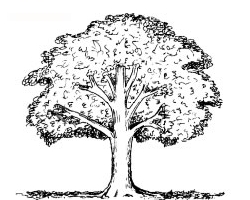 Defoliation animation