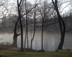 Misty river