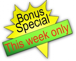 Photoshop Bonus Special logo icon professional in Photoshop