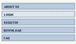 Dynamic Flash Menu
