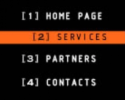 Black and orange flash menu
