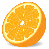 How to Make a Delicious Vector Orange in 9 Decisive Steps
