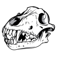 How to Create a Three Color Wolf Skull in Illustrator